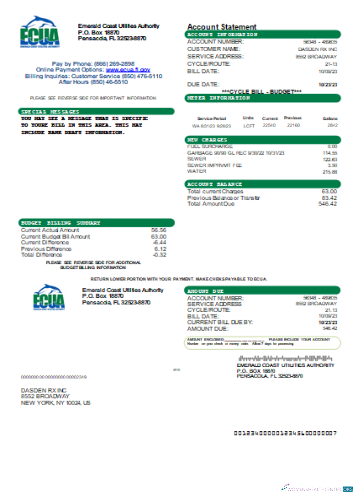 Download Emerald Coast Utilities Authority (ECUA) utility business bill, SCR Photoshop template